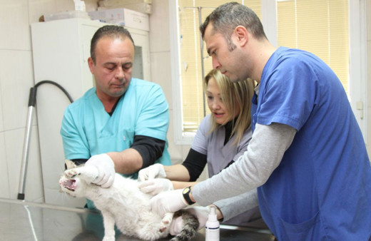 Kamuda en çok iş bulan meslekler hangileri tercihlerde son gün