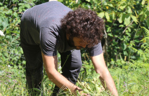 Astsubaylık yapıyordu! İşi bıraktı yerli tohumları topladı bunu yapıyor