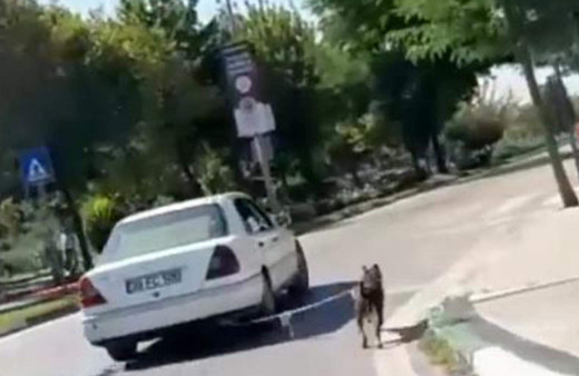 Kırklareli'nde köpeğini otomobiline bağlamıştı! Cezası belli oldu