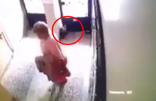 Sosyal medyada tepki çeken görüntü! Kedi kapıya sıkıştı bakın ne yaptılar