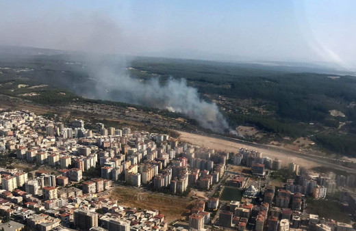 İzmir Buca'da yanan samanların alevi ormana sıçradı