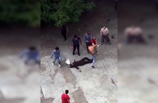 Ağrı'da çocukların kavgasına aileler de karıştı 1 ölü 4 yaralı