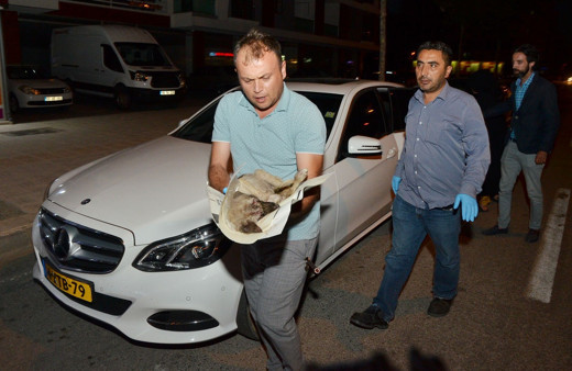 Yolda bulduğu yaralı köpeği kurtarmak için 80 kilometre yol gitti