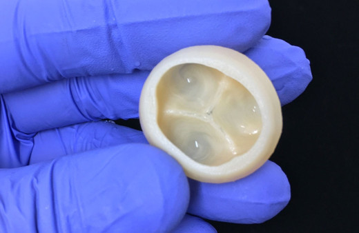 ABD'de üretildi! Bilim ve sağlığa ışık tutacak malzeme 3D yazıcı ile ortaya çıktı