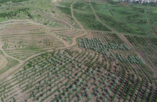 Medipol Üniversitesi'ne 555 bin metrekare arazi verildiği iddiası yalan çıktı