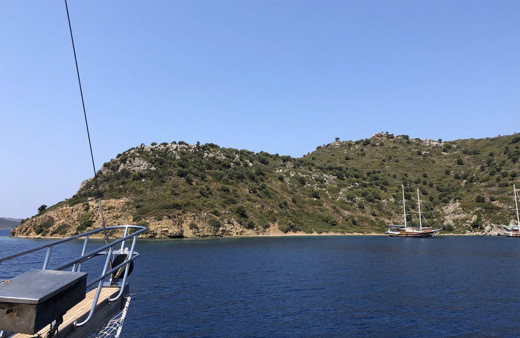 Marmaris Koca Ada'daki eşek esrarı! Tekneleri görünce anırıyordu