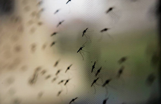 Burundi'de sıtma ülkenin yarısını hasta etti