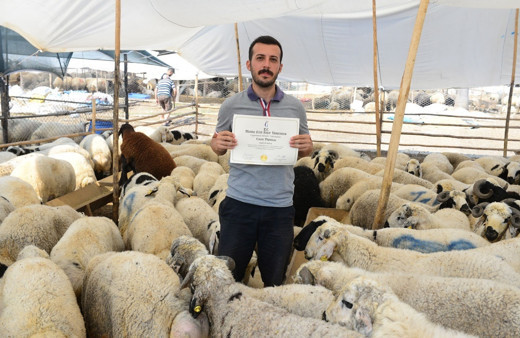 Adana'daki kurban pazarında tabelasıyla şaşırtıyor yazıyı görenler şaşkınlığını gizleyemiyor