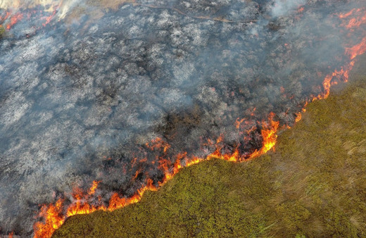 Sinop’ta ot yangını