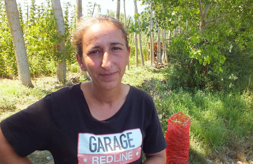 Bu özel fasülye pazarda 15 tarlada 4 lira! Üretici üzgün