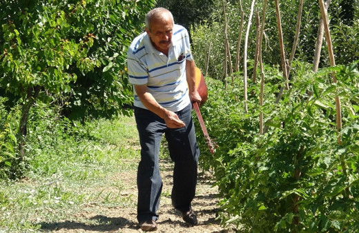Bahçesinde ve kümesinde bulduğu taktik işe yaradı herkes delirdiğini sanmıştı