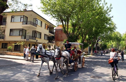 Faytoncular ve akülü araç sahipleri kavga etti! CHP ilçe başkanı yardımcısı ağır yaralandı