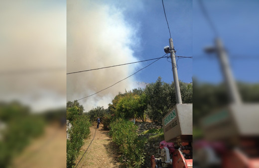 Marmara Adası ve Burgazada'da orman yangını