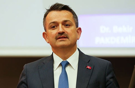 Pakdemirli'den orman yangınlarıyla ilgili açıklama