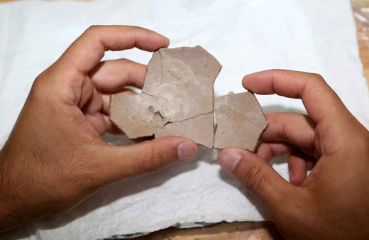 Çankırı'da 8,5 milyon yıllık deve kuşu yumurtası bulundu