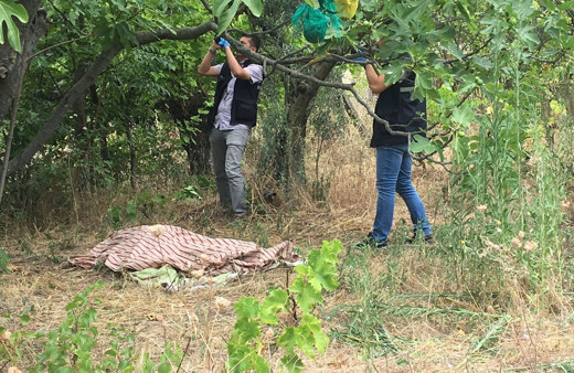 İncir toplamak için çıktı feci şekilde can verdi