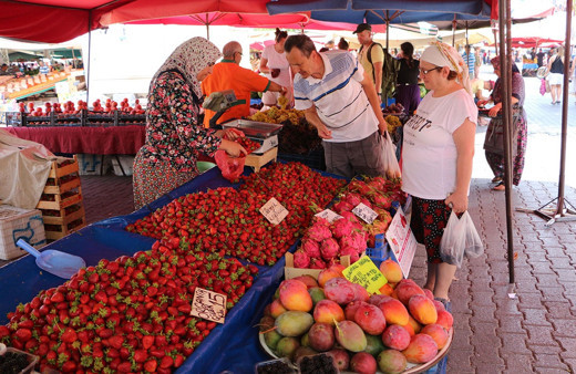 Antalya Gazipaşa'da mango hasadı Tanesi 35 lira
