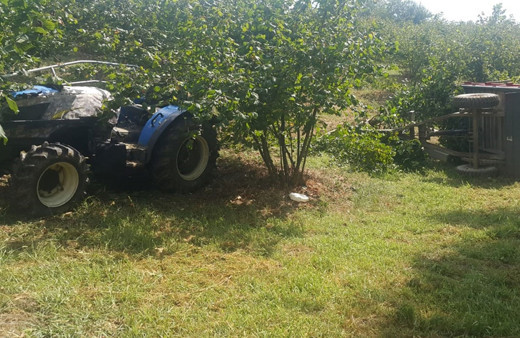 Kandıra'da fındık işçilerini taşıyan traktör devrildi: 1 ölü, 13 yaralı