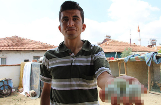 Hobi olarak başladı tanesini 15 liradan satıyor