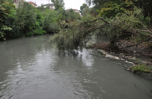 Bartın Irmağı'na bakanlar gözlerine inanamadı tüm balıklar telef oldu