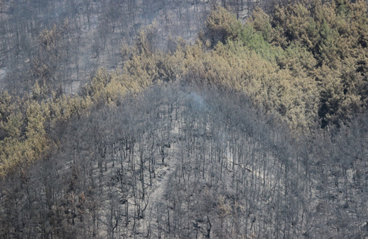 İzmir'deki büyük orman yangınına teknolojik müdahale