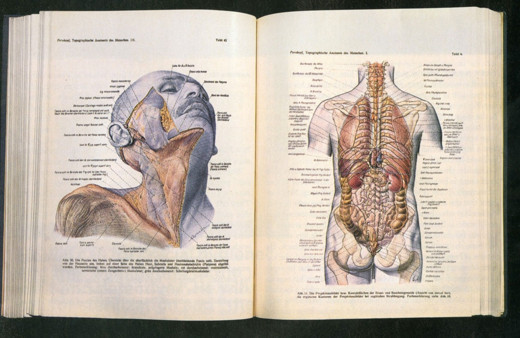 İkinci eli binlerce dolara satılıyor Pernkopf Atlası'nın gizemi kan donduruyor