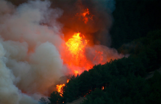 İzmir'in Menderes ilçesindeki yangınla ilgili 1 şüpheli yakalandı