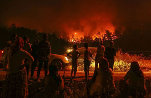 Bakan Pakdemirli: İzmir'deki orman yangınını kontrol altına aldık