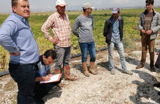 Niğde'de etkili olan sağanak ve dolu yağışı ekinleri ziyan etti!