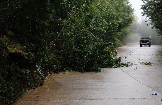 Ordu'daki yağışın bilançosu belli oldu