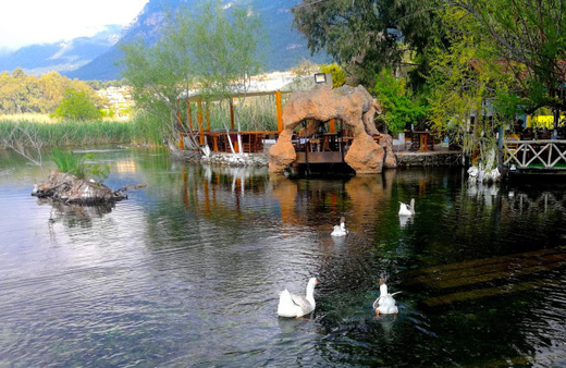 Muğla'da dünyaca ünlü yaylada maden arama başladı! Halk tepkisini koydu