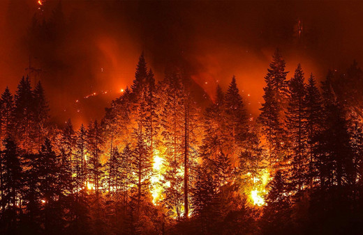 Bolsonaro, Amazonlar'daki yangınlar için yapılan yardımı reddetti