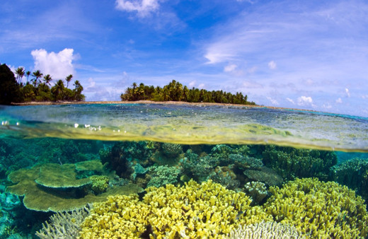 Bu sahillerde yüzmek gerçekten cesaret istiyor! Dünyanın en tehlikeli sahilleri