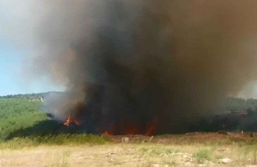 Çanakkale'de orman yangını