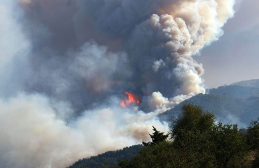 Trabzon'da 26 noktada orman yangını! Kriz masası kuruldu