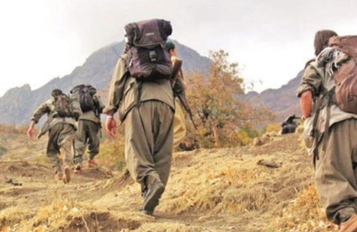 Hakkari'de bir terörist teslim oldu