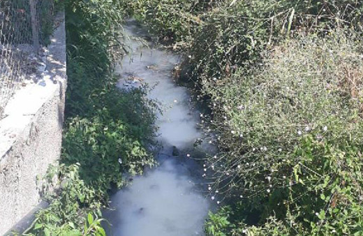 İzmir'de mahalle sakinleri kokudan oturamıyor! Sinekler fareler kanalizasyon...