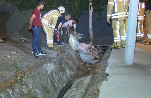 Su kanalına düşen atı itfaiye kurtardı