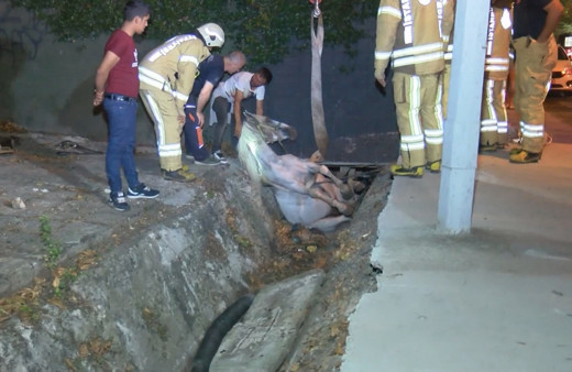 Su kanalına düşen atı itfaiye kurtardı