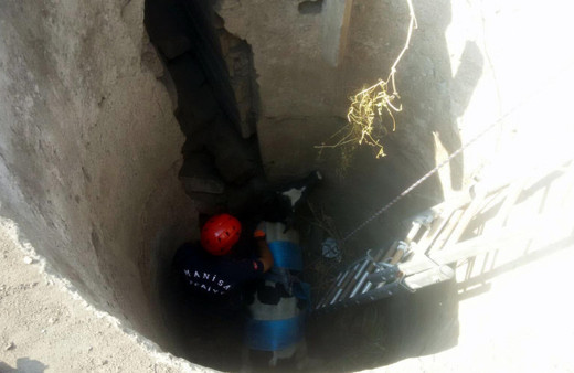 Manisa'da boş kuyuya düşen danayı itfaiye kurtardı