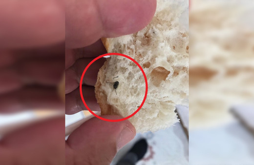 Tekirdağ'da marketten alınan ekmeğin içinden sinek çıktı