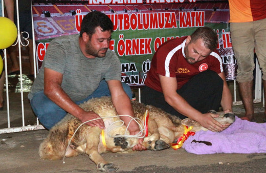 'Falcao gelirse kurban keseceğim' diyen esnaf, sözünü tuttu