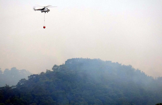 Muğla'nın Ortaca ilçesinde orman yangını! Söndürme çalışmaları devam ediyor