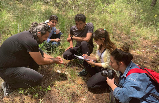 Antalya'da tarihi 2000 yıl öncesine dayanan 5 antik kentte 5 endemik bitki koruma altında