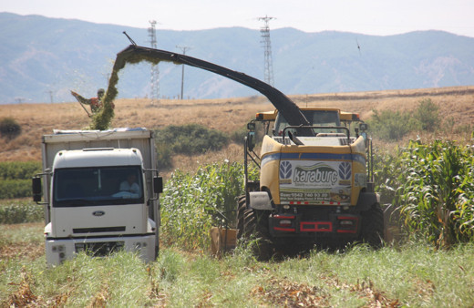 Erdoğan talimat vermişti! 733 milyonluk yatırım bitmeden çiftçiye katkı sağlamaya başladı