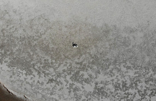 Adeta çöle döndü Van'da bulunan Akgöl'ün son hali içler acısı