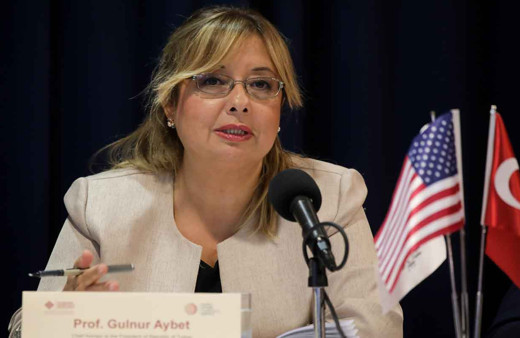 Cumhurbaşkanlığı Başdanışmanı Gülnur Aybet'den S-400 açıklaması