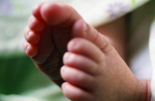 Tüp bebek aşamaları blastosist transferi nedir düşük ihtimali yüksek mi?