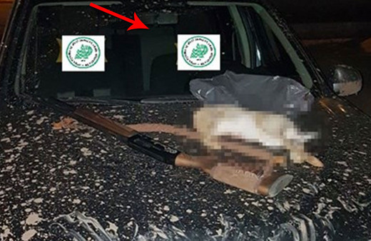 Far ışığıyla tavşan avlayanların gözünün yaşına bakılmadı