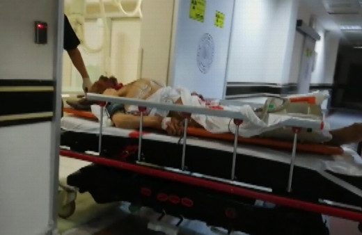 Erzurum'da ayı saldırısı 1 ölü 2 yaralı